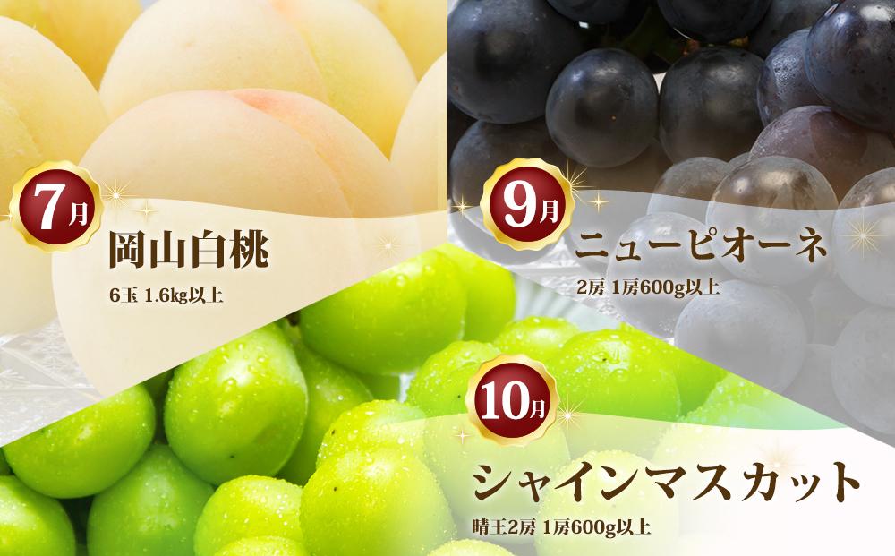 フルーツ 定期便 2025年 先行予約 フルーツ王国 岡山 厳選 果物 （7月 9月 10月）3回コース 桃 もも 葡萄 ぶどう 岡山県産 国産 セット ギフト