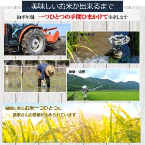 くまもとの無洗米 10㎏ 熊本県 和水町産 | 無洗米 くまもと 無洗米 和水 無洗米 県北 無洗米 5kg 無洗米 2袋 無洗米 紅白 無洗米 節約 無洗米 節水 無洗米 訳あり 無洗米 常温 無洗