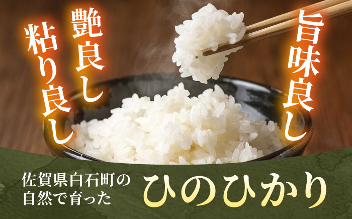 【農家直送！】しろいしもりのお米 ひのひかり 5kg【Sunrise328】 [ICD011]