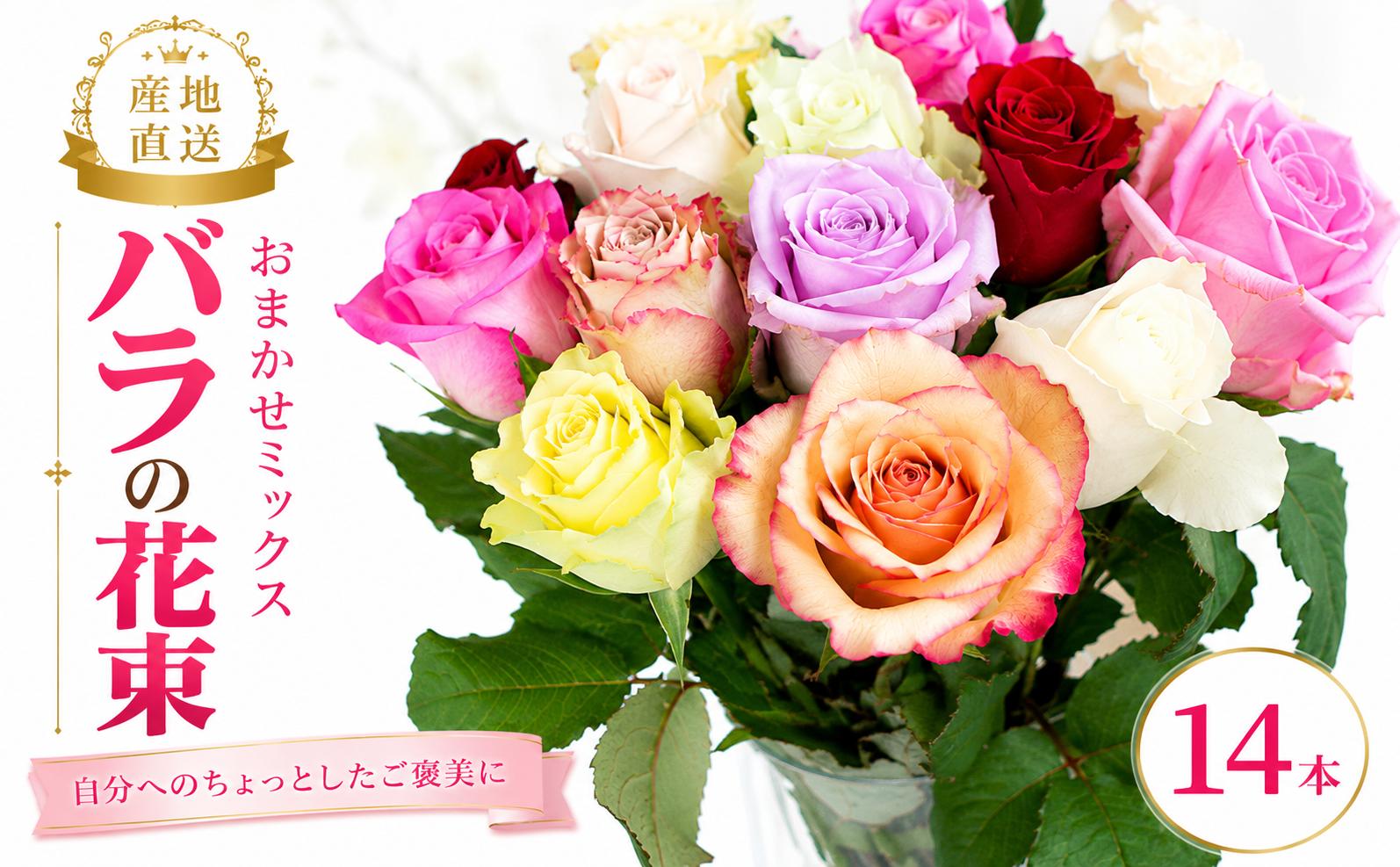 
                  【自分へのご褒美】 お花 プレゼント バラ 花束 色 おまかせ 自宅用 家庭用  バラ  バラ  バラ  バラ  バラ  バラ  バラ  バラ  バラ  バラ  花  花  花  花  花  花  花  花  花  花  花  花新潟県 新潟 新発田  花プラン plan003
                