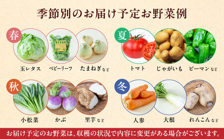 【全6回定期便】オーガニック 野菜 セット 8種【株式会社 肥後やまと】[YAF029]