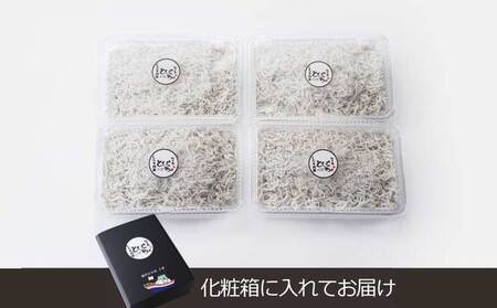 釜揚げ しらす 約 1kg（ 260g ×4）【 とびっちょ しらす 】