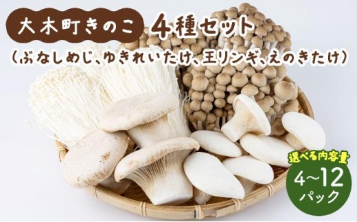 
            ＜選べる内容量＞大木町のきのこセット(ぶなしめじ・ゆきれいたけ・王リンギ・えのきたけ各1〜3パック)
          
