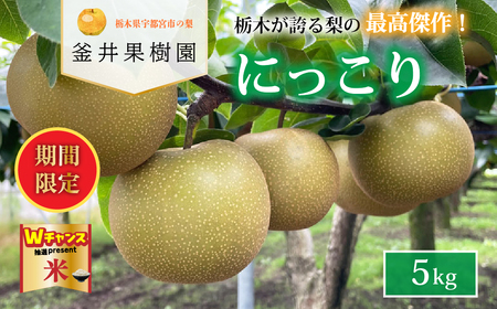 ＼9末まで 寄附額改定／にっこり 5kg 6～8玉 ｜ 栃木県産 宇都宮市 梨 なし にっこり フルーツ 果物 ※離島への配送不可 ※2025年10月上旬頃より順次発送予定