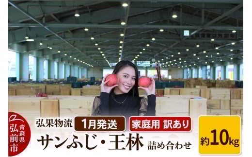 【26年1月発送】りんご 家庭用 訳あり サンふじ・王林 詰め合わせ 約10kg