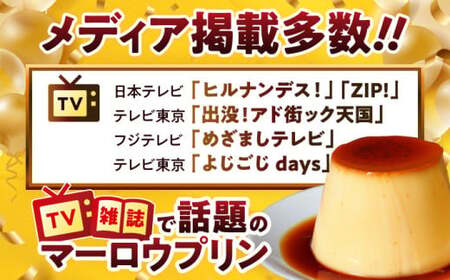 【全6回定期便】昔ながらのカスタードプリン4個セット  ／ お菓子・スイーツ プリン【(有)マーロウ】[ASAY014]