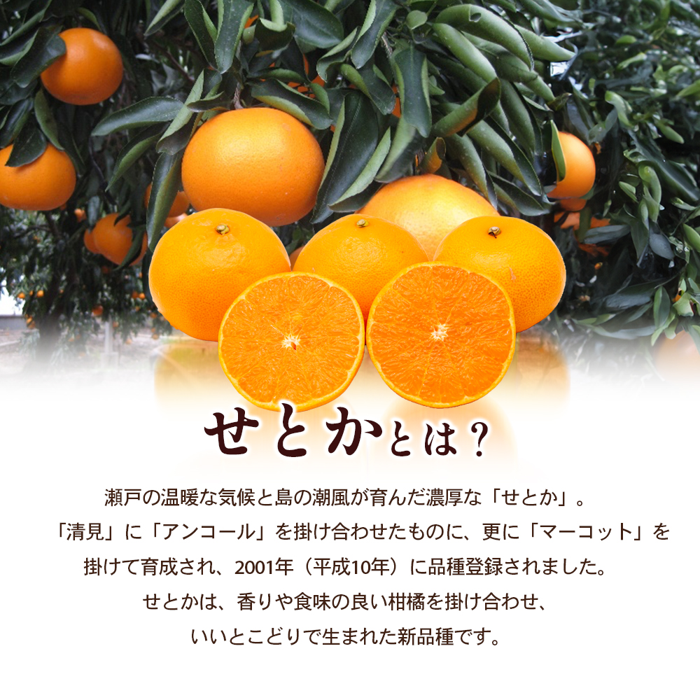 【 小豆島 】小豆島 ハウスせとか 約2kg 柑橘 せとか 瀬戸香 果物 フルーツ 国産 くだもの ハウス 国産 香川 香川県 土庄 土庄町