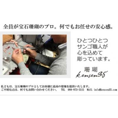 ふるさと納税 室戸市 赤サンゴ 丸玉3連ペンダント |  | 02