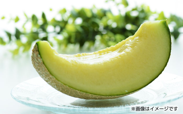 【先行予約】アールスメロン　1玉　約1.3kg以上【くまふる】 [ZBG083]