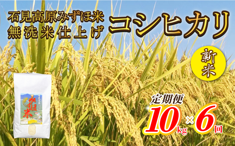 【定期便】新米予約 令和6年産石見高原みずほ米コシヒカリ 無洗米仕上 10kgｘ6回