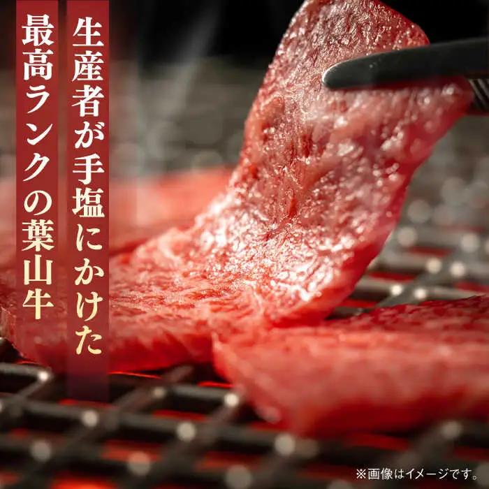 葉山牛 800g　ロース焼肉用 ／ 焼肉 焼き肉[ASBD007]