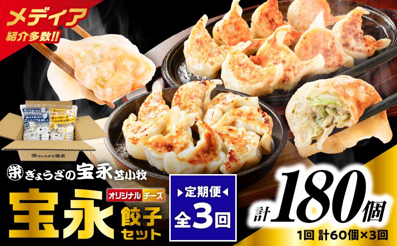 
            【全3回定期便（毎月）】チーズ餃子セット（宝永餃子 15個入×2袋＆チーズ餃子 15個入×2袋）合計1.5kg　T004-T02-02
          