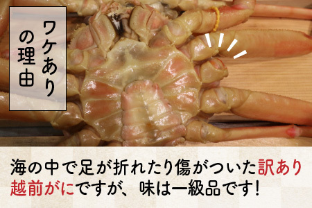 【先行予約】訳あり越前ズワイ蟹(小) 2杯【2025年2月発送分】【カニ かに わけあり 海鮮 蟹 越前ガニ ずわいがに ズワイガニ 姿 まるごと 日本海 冬の味覚】 [D-1601_02]