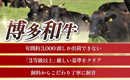 【全12回定期便】博多和牛 肩ロース薄切り 500g [ABCL138]