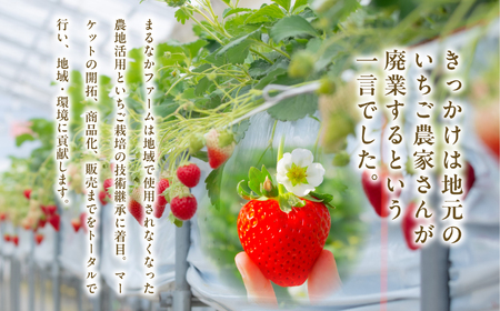 Koichigo Beer 330ml×2本セット【まるなかファーム】