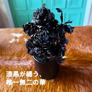 SL0271　黒い花　ゼロフラワー 「BLACK FLOWER ARRENGEMENT」