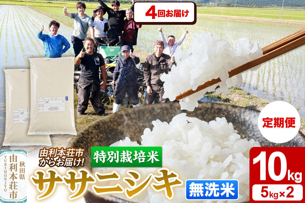 《定期便4ヶ月》令和7年産【無洗米】特別栽培米 ササニシキ 10kg（5kg×2袋）秋田県産 [ササニシキ 米 お米 白米 精米 無洗米 特別栽培米 ブランド米 食卓 秋田県産 秋田県 由利本荘市]