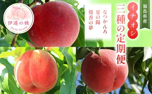 【2026年出荷分先行予約】福島県産 イチオシ桃3種の定期便 なつかんろ・夏の陽・優香の夢 各約2kg (6～9玉) 高橋もも園 ゆうかのゆめ なつのよう なつかんろ 伊達の桃 桃 フルーツ 果物 もも モモ momo F21C-312