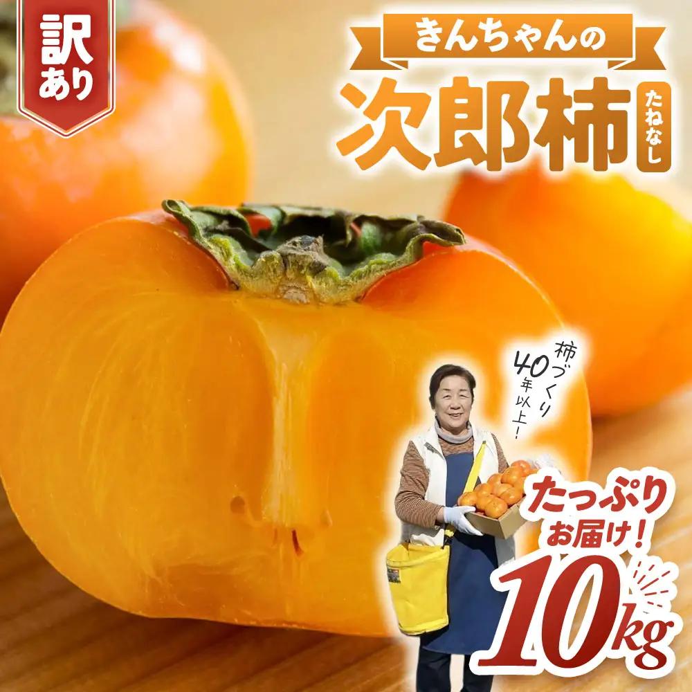 柿【2026年度発送分】きんちゃん農園のたねなし柿(家庭用・訳あり)約10kg【KCN-03】