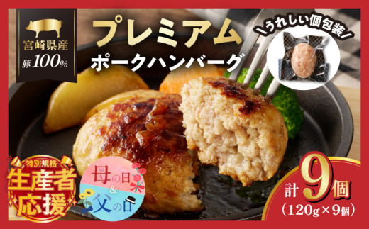 【父の日までにお届け】宮崎県産豚プレミアムハンバーグ(計9個) 肉 豚肉 加工品 惣菜 国産_T001-0091-ZO-FA