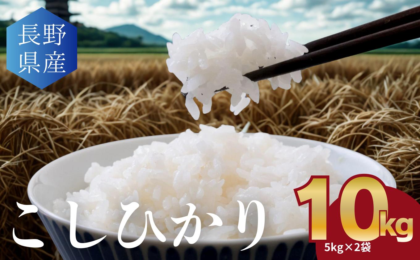 
                  こしひかり 白米 10kg(5kg×2袋) │信州 松本市 米 お米 コシヒカリ こしひかり アルプス 国産米 長野県産 おすすめ 白米 ふっくら 農家 ふるさと納税 松本市 美味しい
                