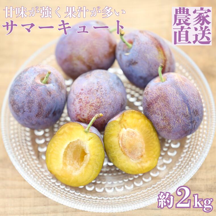 【ふるさと納税】信州生プルーン　さわやかな甘さの　サマーキュート 2kg（500g×4パック）【期間限定】〔RS-09〕