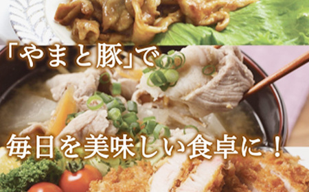 岩手県産やまと豚５種約1.3kg  国産 肉 豚肉 やまと豚 鍋 焼肉 豚ロース 豚バラ 豚こま モモスライス ひき肉 とんかつ 生姜焼き しゃぶしゃぶ 真空パック 小分け 冷凍 岩手県 岩手町