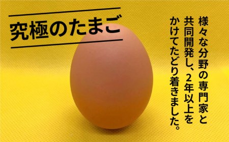 【黄身がつかめる！ブランド卵】TOCO-tori EGG おうち贅沢ボックス 卵 20個入 高級卵 たまご 五島市 / 五島列島大石養鶏場 [PFQ002] 卵 鶏卵 たまご タマゴ 玉子 卵 鶏卵 