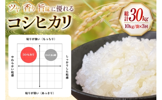 米 令和8年産 3回 定期便 特別栽培米 コシヒカリ 10kg [農事組合法人かさの郷 石川県津幡町 tb17bgj610010] お米 こめ 令和8年 こしひかり 10キロ おこめ ご飯 ごはん ゴ