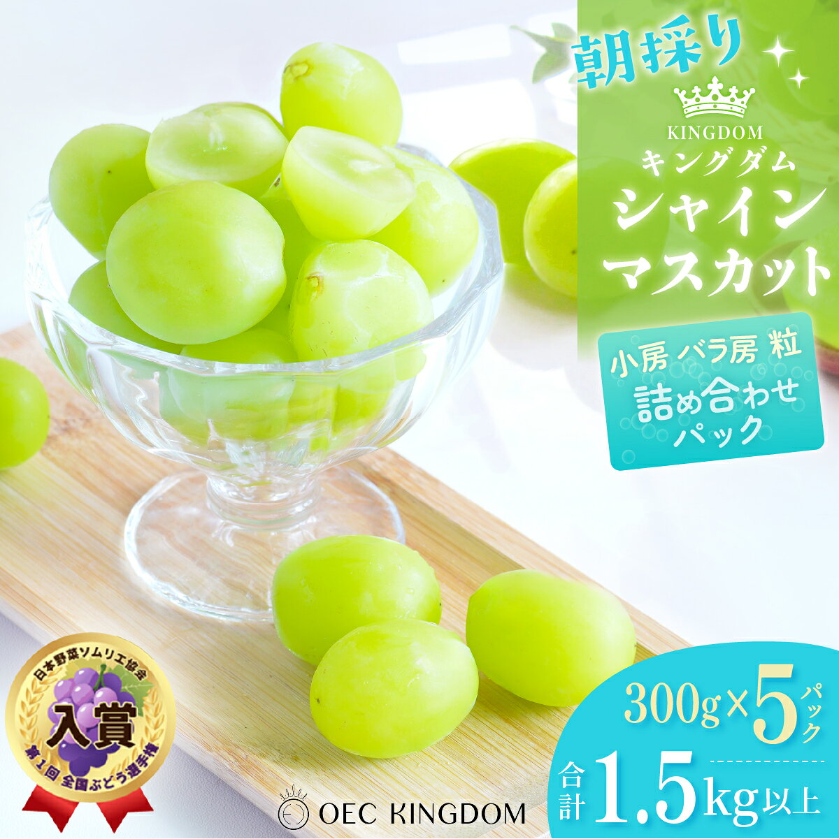 【ふるさと納税】ぶどう シャイン マスカット シャインマスカット 300g×5パック 1.5kg以上 朝採り 種なし 2026年 先行予約 ブドウ 葡萄 第1回全国ぶどう選手権 入賞 岡山県産 国産 フルーツ 果物 果物類 岡山県 瀬戸内市 OEC KINGDOM ぶどう家