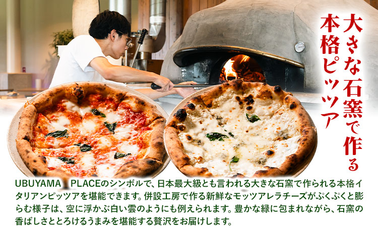 UBUYAMA PLACE レストラン 商品券 3000円 《30日以内に出荷予定(土日祝除く)》熊本県 産山村 チケット イタリアン ピザ 観光 プレゼント 贈り物 ギフト 金券 送料無料 産山 プ