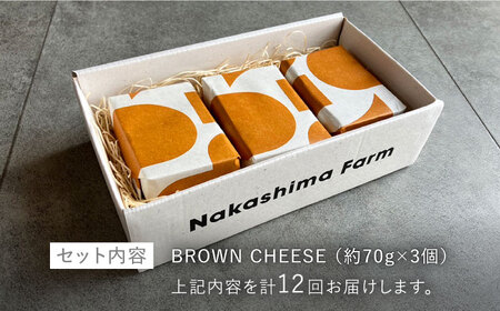 【12回定期便】世界銅賞受賞！BROWN CHEESE 3点 セット【ナカシマファーム】[NAJ115] ブラウンチーズ チーズ ナカシマファーム チーズ 酪農家の手作りチーズ てづくりチーズ 人気チ