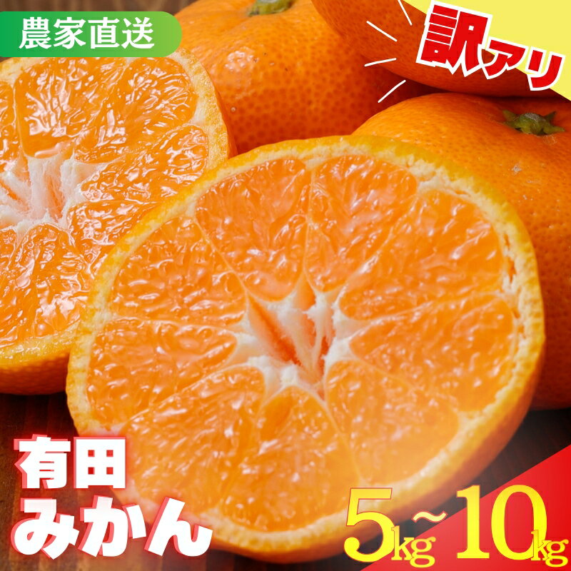 【ふるさと納税】 《 額田農園限定レビューキャンペーン対象 》有田みかん【訳あり】農家直送 ！ 【選べる容量】 不揃い サイズ混合 （お届け日指定不可）先行予約 みかん 訳ありみかん 蜜柑 フルーツ 果物 くだもの 8000円 10000円 13000円 ふるさと納税
