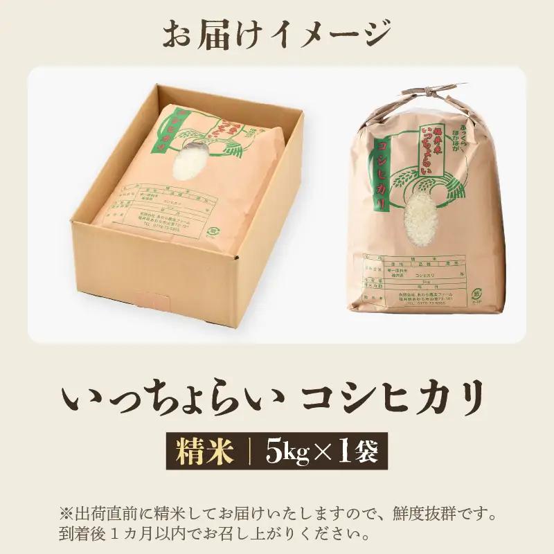 【先行予約】【令和8年産・新米】【一等米】いっちょらい 精米 5kg ／ 福井県産 ブランド米 ご飯 白米 お米 コメ 新鮮 大賞 受賞 新米 福井県あわら産 ※2026年9月下旬以降順次発送予定 [