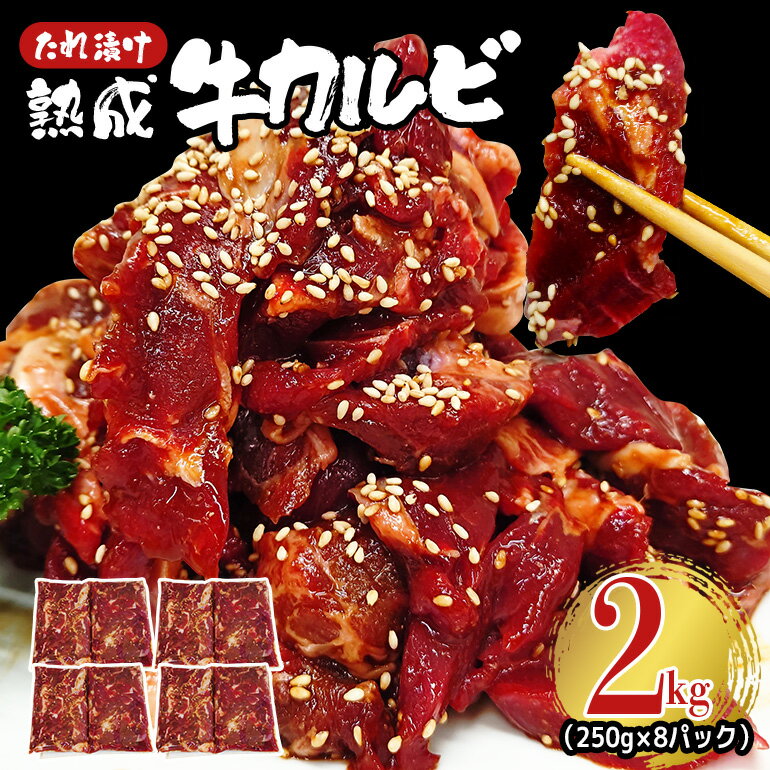 【ふるさと納税】熟成牛カルビ 2kg (250g×8パック) たれ 味付 小分け 冷凍 焼肉 焼き肉 牛 牛肉 ビーフ カルビ BBQ 【そうざい男しゃく（株式会社池延）】【ho1472】