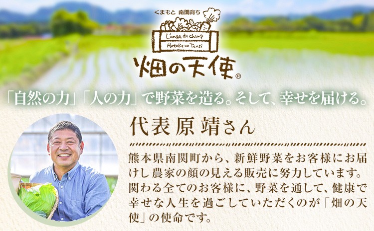 ７品目以上を基準に旬の野菜とお米セットでお届け