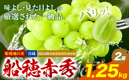 最高級 シャインマスカットぶどう 船穂赤秀 2房 1.25kg 岡山県産《2025年9月上旬-10月末頃出荷》 ハレノフルーツ マスカット 送料無料 岡山県 浅口市 フルーツ 果物 贈り物 ギフト 国産 岡山県産【配送不可地域あり】