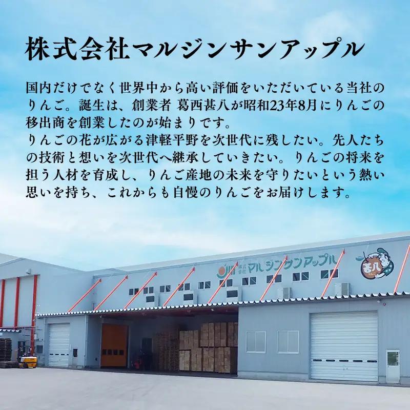 りんご 【2027年4月発送開始】12ヶ月定期便 約5kg 特選 りんご