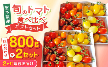 【全2回定期便】トマト ミディトマト 800g×2セット  トマト トマト トマト トマト トマト [YDE018]
