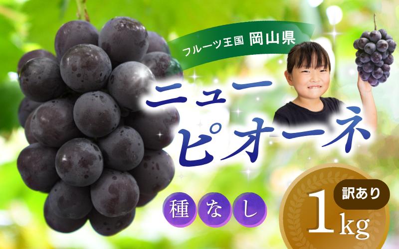 
            【2026年の先行予約です】 ぶどう 訳あり 花笑み農園の ニューピオーネ 1kg hana33. / ぶどう ブドウ 葡萄 岡山 ピオーネ 先行予約 フルーツ 果物 真庭市
          