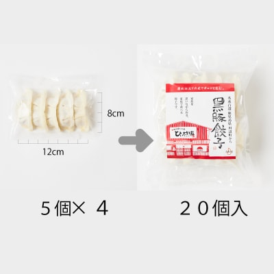定番のかごしま黒豚餃子60個(タレ付)【配送不可地域：離島】