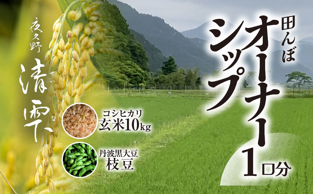 
            ＜令和7年10月中旬より発送！＞田んぼオーナーシップ1口分　清雫　玄米10kg+黒ムラサキ（丹波黒大豆の枝豆）/ ふるさと納税 田んぼ オーナー オーナー制度 米 玄米 10kg 令和7年度産 先行 収穫  夜久野 京都 京都府 福知山 FCDB005
          