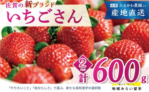 
            【先行予約｜ふるかわ農園】佐賀県小城市産「いちごさん」計600g（300g×2箱）
          