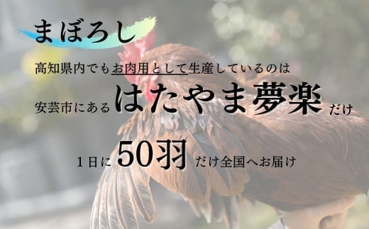 土佐ジロー1羽（正肉・肝）セット（イメージ）