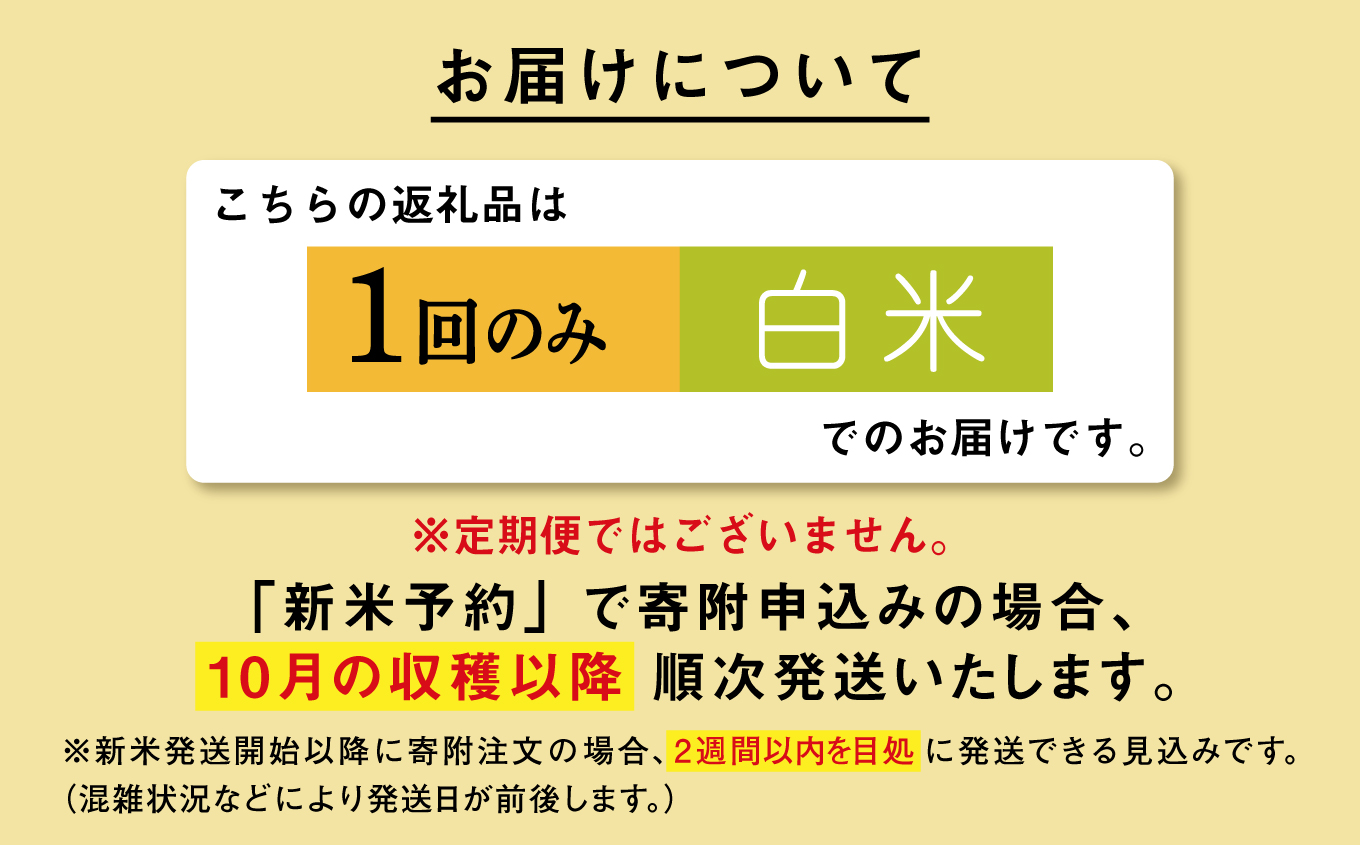 《先行予約》 白米 あきたこまち 令和7年産 5kg(5kg×1) 5kg袋 小分け 米 グルメ ふるさと こめ コメ 一人暮らし