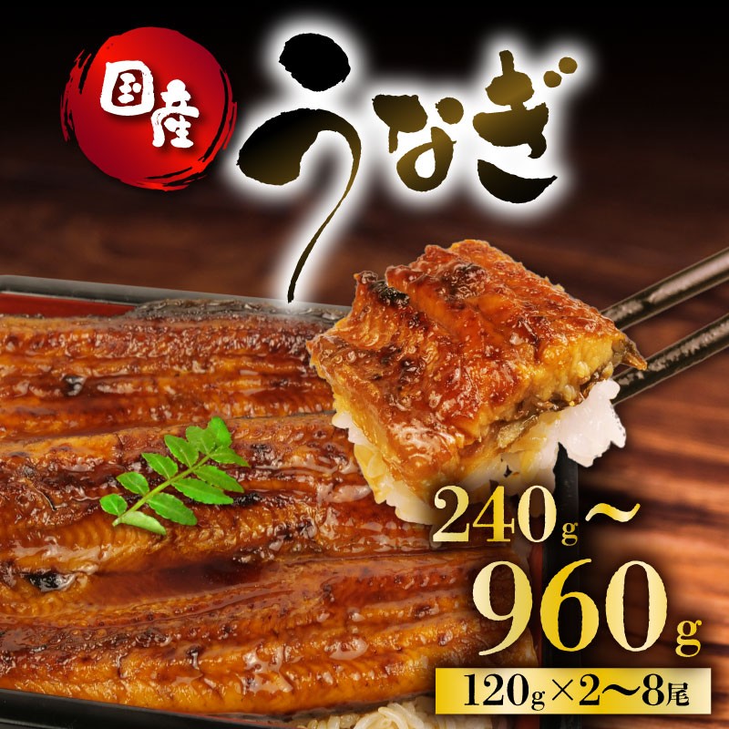 
                  うなぎ 国産 蒲焼 120g × 2尾 ～ 8尾 240g ～ 960g 鰻蒲焼 ウナギ 土用 丑の日 JAS認定 活鰻 特製無添加たれ 山椒 ギフト 贈答 冷凍 養殖 真空パック レンジ 調理 湯煎 まとめ買い 静岡県 藤枝  土用の丑の日に！
                