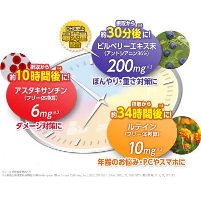 ふるさと納税 袋井市 DHC速攻ブルーベリー V-MAX 30日分12個セット |  | 02