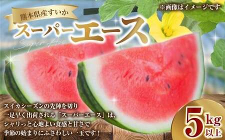 熊本県産 すいか スーパーエース 5kg以上 スイカ 西瓜 果物 くだもの フルーツ おすすめ ギフト 贈り物 【2027年3月上旬発送開始】