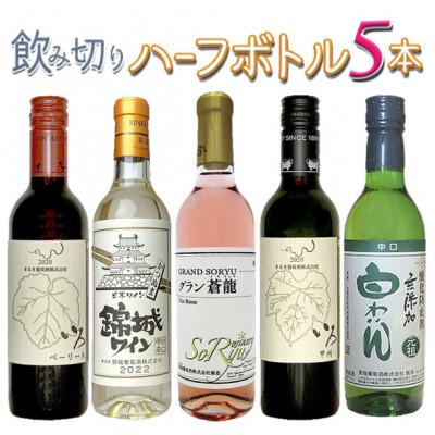 ふるさと納税 甲州市 山梨のワイン飲み切りハーフボトル5本セット