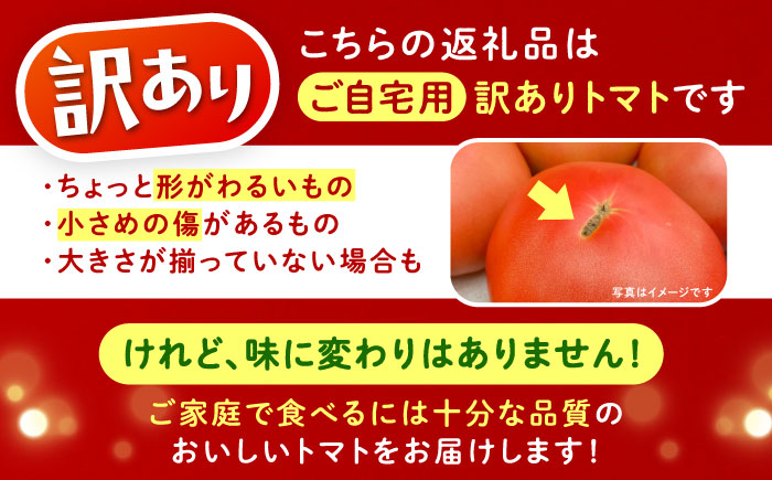 ＼受付期間1ヵ月延長！／【2025年7月中旬から10月下旬に順次発送】訳あり大玉トマト4kg / 朝採り 甘い 桃太郎 とまと / 恵那市 / クリエイティブファーマーズ [AUAH016]